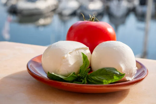 Biały Miękki Włoski Ser Mozzarella Bufala Kulki Czerwonym Pomidorem Bazylii — Zdjęcie stockowe