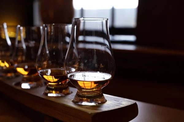 Flight Single Malt Scotch Whisky Glasses Served Bar Edinburgh Tasting — Stok fotoğraf