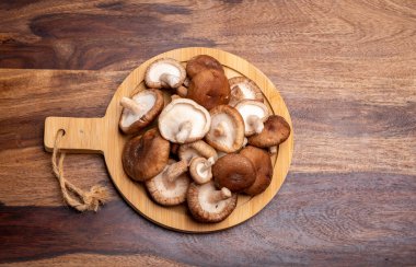 Taze kahverengi Lentinula edodes veya Japonya 'dan yenebilir Shiitake mantarları.