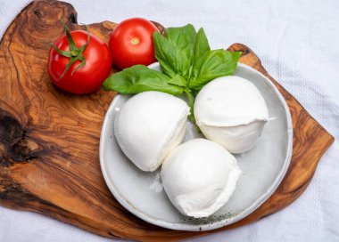 Beyaz İtalyan yumuşak peyniri Mozzarella di Bufala Campana topları taze yeşil fesleğen yaprakları ve kırmızı domatesle servis edilir.