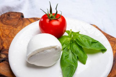 Beyaz İtalyan yumuşak peyniri Mozzarella di Bufala Campana topu taze yeşil fesleğen yaprakları ve kırmızı domatesle servis edilir.