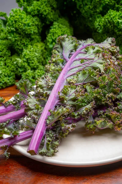 Fresh leaves of winter vegetable green and purple kale cabbage