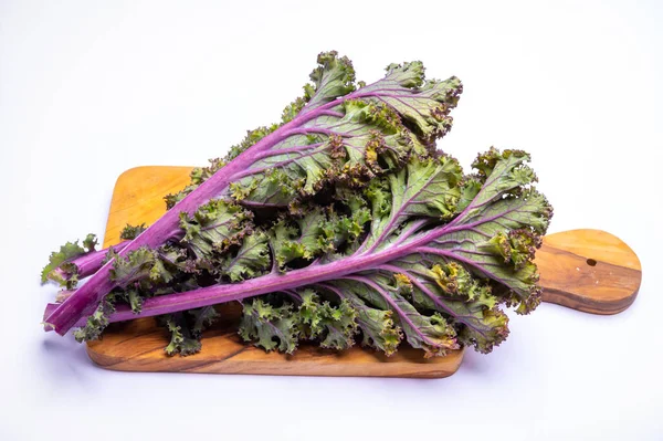 Leaves of winter vegetable purple kale cabbage on white background isolated