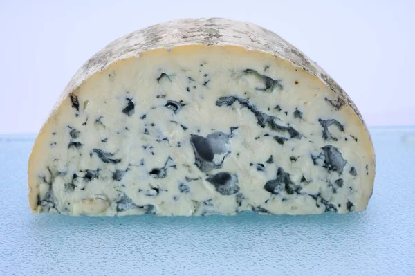 Peynir Koleksiyonu Bir Parça Fransız Peyniri Auvergne Dört Tane Ambert — Stok fotoğraf