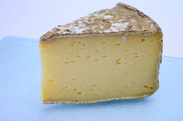 Kousek Sýra Tomme Montagne Nebo Tomme Savoie Kravského Mléka Francouzských — Stock fotografie