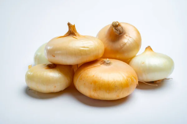 Flache Süße Zwiebeln Borretana Aus Spanien Auf Weißem Hintergrund — Stockfoto
