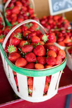 Bir sepet Fransız kırmızı olgun çilek Manon des Fraises, Fragaria anananassa Provence 'de toplandı, Fransa' da yaz mevsimi