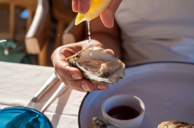 Beyaz elbiseli genç kadın taze kremalı istiridye ve limon suyu yiyor, Fransız restoranında deniz ürünleri yiyor.