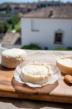 Fransız peynirleri Rocamadour ve Saint-Marcellin güneş ışığında bademlerle zeytin ağacı tahtasında servis edildi.