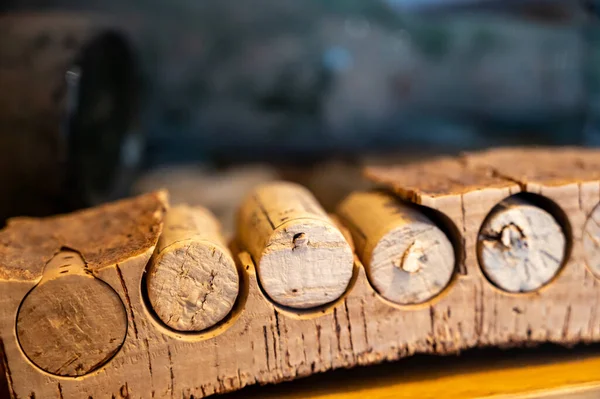 stock image Traditional way of making cork stoppers for wine bottles from cork oak tree close up