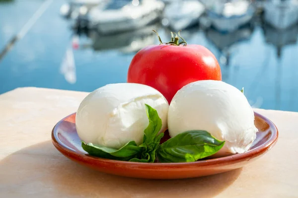 意大利白软乳酪乳酪配上红色西红柿和罗勒的球 在室外食用 — 图库照片