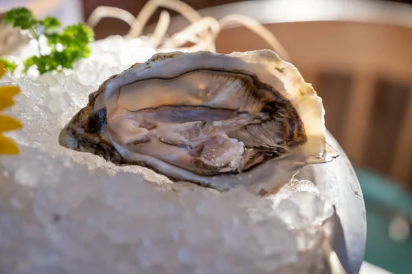 Frisch Geöffnete Austern Meeresfrüchte Serviert Auf Eis Mit Zitrone Französisch — Stockfoto