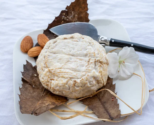 stock image French mountains cheese banon made in Alpes-de-haute-provence wrapped in chestnut leaves from unpasteurised goat milk