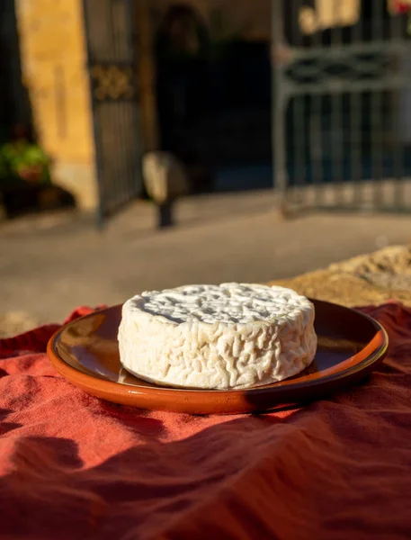Fransız Peynirleri Koleksiyonu Fransa Nın Rhone Alpes Bölgesinden Saint Flicien — Stok fotoğraf
