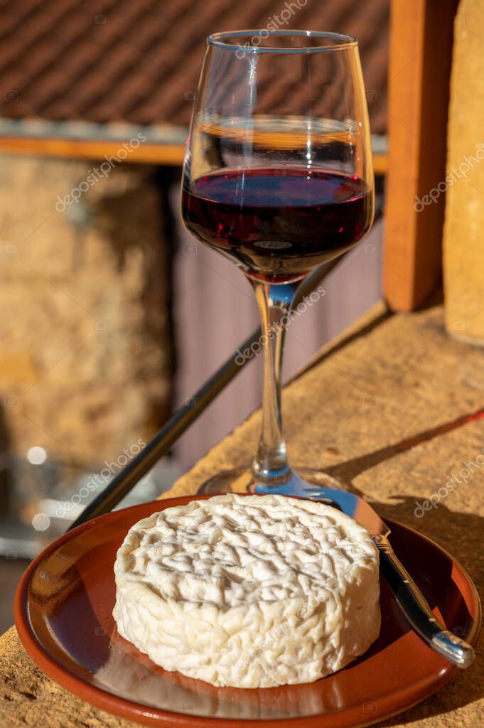 Colección de quesos franceses, el queso de leche de vaca Saint Flicien