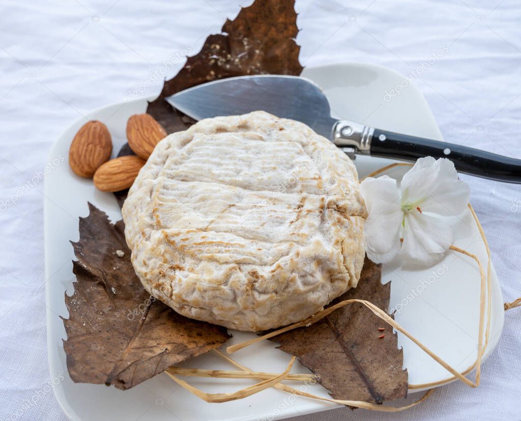 Banón de queso francés de montaña elaborado en Alpesdehauteprovence