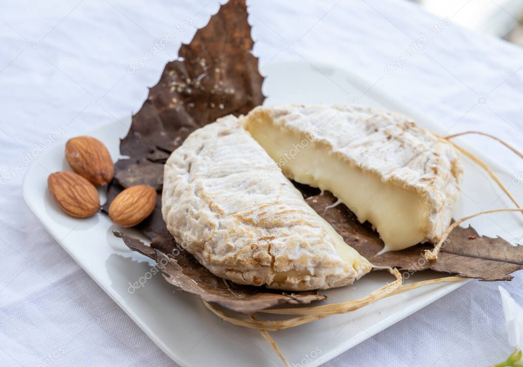 Banón de queso francés de montaña elaborado en Alpesdehauteprovence