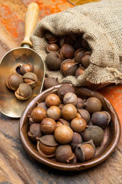 Taze taze Avustralya Macadamia fındığı hasadı kabuklu ve yapraklı.