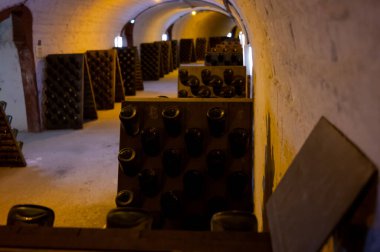 Uzun yeraltı mağaralarında tozlu şişelerle yürümek, şarap ve şarap yapmak Epernay, Şampanya, Fransa 'da kara üzümler