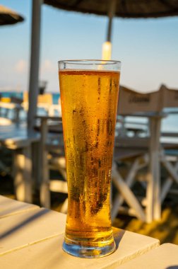 Kıbrıs 'taki güneşli sahil barında bira servis ediliyor.