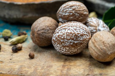 Nutmeg tozu. Makro manzaralı, fındıklı ve rendelenmiş muscat fındıklı. Kapat.