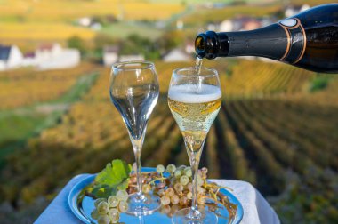 Fransız köpüklü beyaz şarabının tadına bakmak açık terasta şampanya içmek Epernay, Fransa yakınlarındaki Cramant köyünde renkli büyük cru şampanya bağları manzaralı