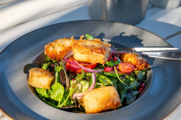 Sağlıklı Vejetaryen Akdeniz Yemekleri Izgara Halloumi Peynirli Salata Yeşil Salata — Stok fotoğraf