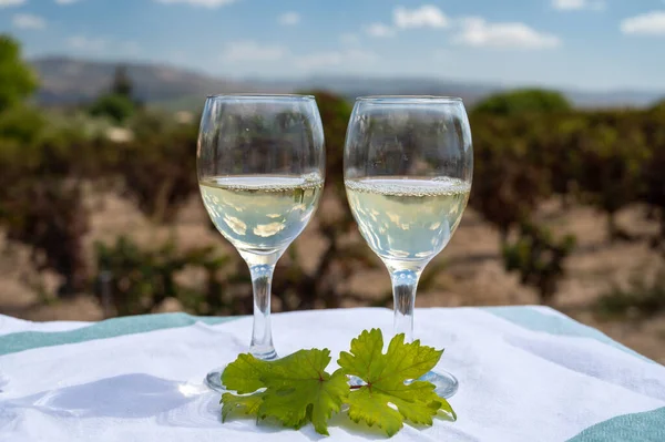 stock image Tasting of white wines on vineyards of Cyprus. Wine production on Cyprus, tourists wine route and visiting of wineries.