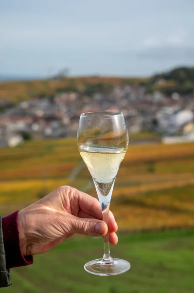 Tasting of brut champagne sparkling wine outdoor with view on colorful autumn pinot noir grand cru vineyards of famous champagne houses in Montagne de Reims near Verzenay, Champagne, France