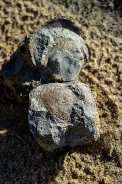 Değişik katmanlı renkli taşların jeolojik oluşumu, sarı kum, kil, mermer, Magoito sahilindeki fosil kayalar, Lizbon yakınlarındaki Atlantik Okyanusu kıyıları.