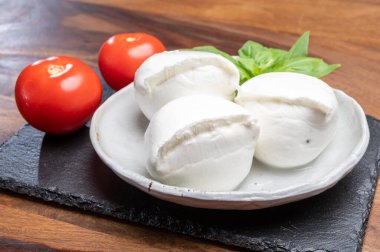 Beyaz İtalyan yumuşak peyniri Mozzarella di Bufala Campana topları taze yeşil fesleğen yaprakları ve kırmızı domatesle servis edilir.