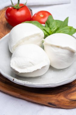 Beyaz İtalyan yumuşak peyniri Mozzarella di Bufala Campana topları taze yeşil fesleğen yaprakları ve kırmızı domatesle servis edilir.