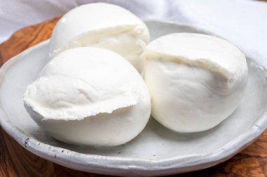 Beyaz İtalyan yumuşak peyniri Mozzarella di Bufala Campana yakın çekim