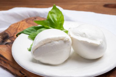 İtalyan yumuşak peynirli beyaz top Mozzarella di Bufala Campana taze yeşil fesleğen yapraklarıyla servis edilir.