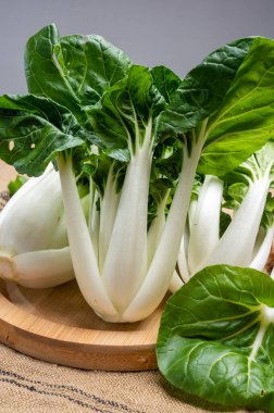Genç taze organik bok choy veya bak choi Çin lahanası pişirmeye hazır