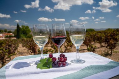 Tasting of red and white wines on vineyards of Cyprus. Wine production on Cyprus, tourists wine route and visiting of wineries. clipart