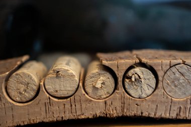 Meşe ağacından şarap şişeleri için tıpa tıpası yapmanın geleneksel bir yolu.