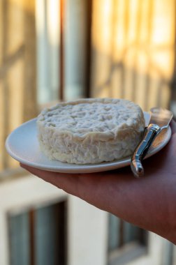 Fransız şarap ve peynir eşleştirme, bir bardak kırmızı beaujolais şarap Saint Flicien inek sütü peyniri ile birlikte Lyon, Fransa yakınlarındaki eski Beaujolais şaraphanesinde servis edilir.