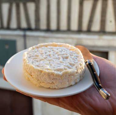 Fransız şarap ve peynir eşleştirme, bir bardak kırmızı beaujolais şarap Saint Flicien inek sütü peyniri ile birlikte Lyon, Fransa yakınlarındaki eski Beaujolais şaraphanesinde servis edilir.