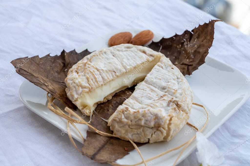 Banón de queso francés de montaña elaborado en Alpesdehauteprovence