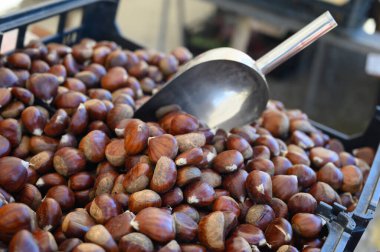 Lizbon, Portekiz 'de yeni kahverengi kestane hasadı satışı