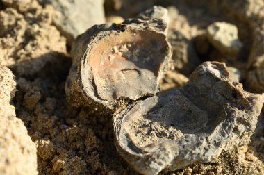 Değişik katmanlı renkli taşların jeolojik oluşumu, sarı kum, kil, mermer, Magoito sahilindeki fosil kayalar, Lizbon yakınlarındaki Atlantik Okyanusu kıyıları.