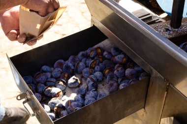 Demir ocakta kestane kızartıyorum, sonbaharda Portekiz sokak yemekleri, Lizbon, Portekiz