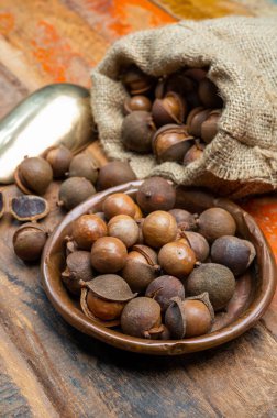 Taze taze Avustralya Macadamia fındığı hasadı kabuklu ve yapraklı.