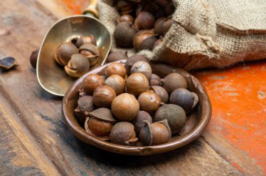 Taze taze Avustralya Macadamia fındığı hasadı kabuklu ve yapraklı.