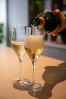 Şampanya, Fransa 'daki yeraltı mağaralarında geleneksel yöntemle üretilen Brut ve Rezerv Grand Cru şampanyası.