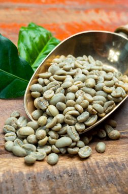 Güney Amerika 'dan yeşil kahve çekirdekleri Kolombiya ve Brezilya' dan, dağ sıraları ve kahve yetiştirmek için ideal iklimli kahve üreten bölgelerden geliyor.