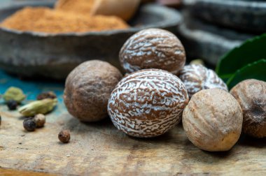 Nutmeg tozu. Makro manzaralı, fındıklı ve rendelenmiş muscat fındıklı. Kapat.