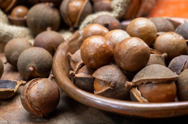 Taze taze Avustralya Macadamia fındığı hasadı kabuklu ve yapraklı.