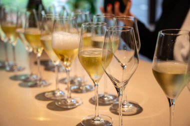 Şampanya, Fransa 'daki yeraltı mağaralarında geleneksel yöntemle üretilen Brut ve Rezerv Grand Cru şampanyası.